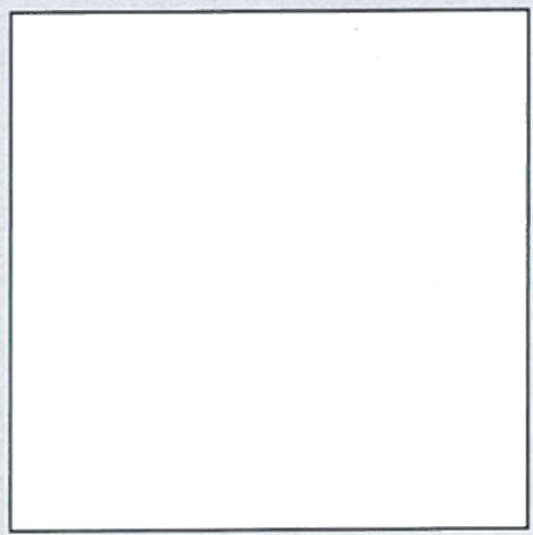 Plastica autoadesiva cm.45 bianco lucido