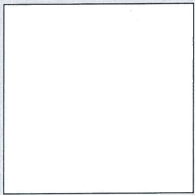 Plastica autoadesiva cm.45 bianco lucido