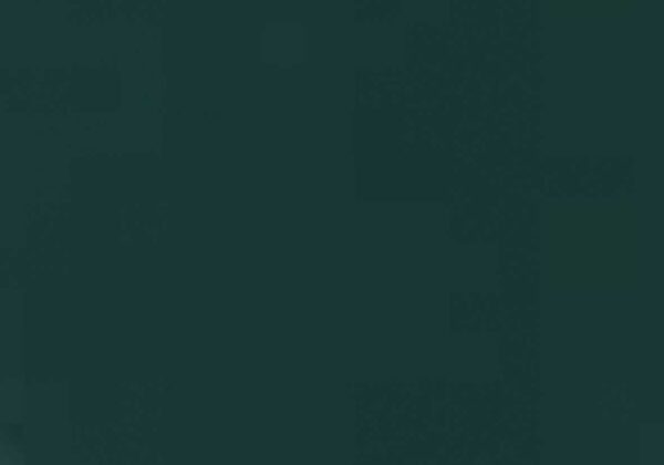 Vernifer 750 ml verde bosco brillante