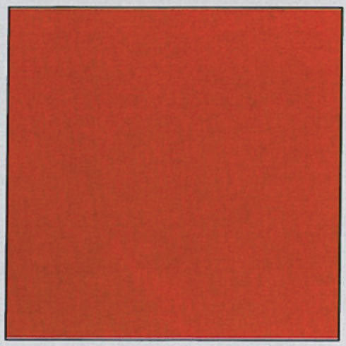 Plastica autoad.velluto h.45 rosso