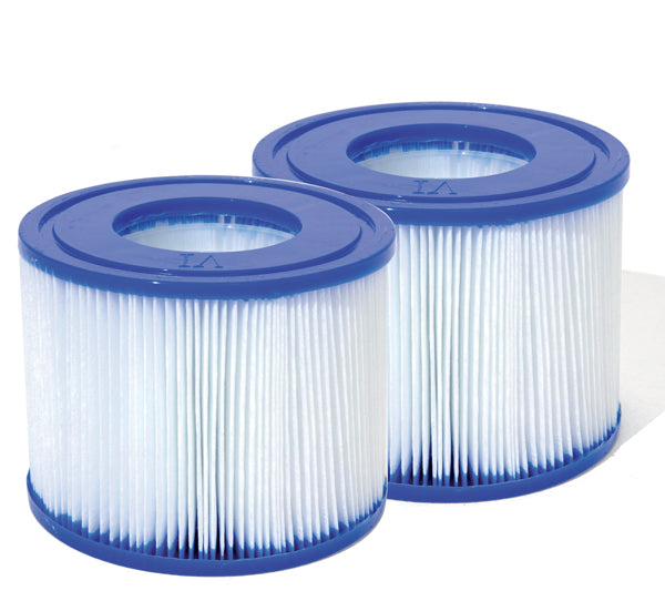 Set due cartucce filtro per Lay-Z-Spa (VI)