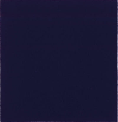 Kolorone colorante per idropitture ml 45 n.214 viola