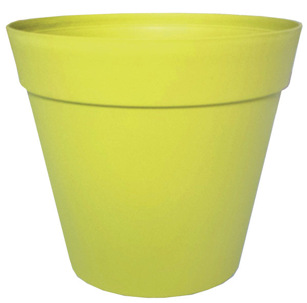 Vaso conico chicago d.17 anice