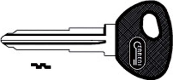 Chiave Auto Senza Trasponder T00MZ12RP