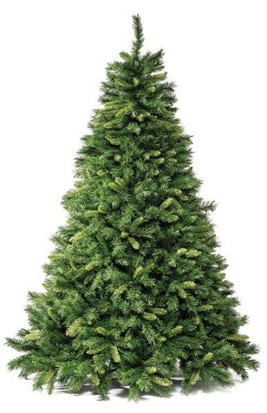 Albero royal 210 cm