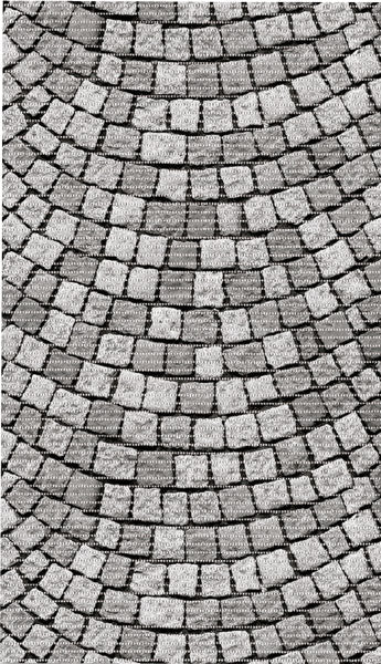 Tappeto multiuso antiscivolo Aquamat art.579-1