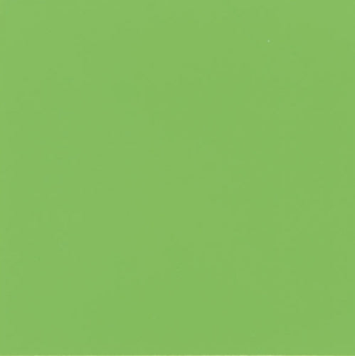 Aquatinta colorante per idropitture 40ml. 311 verde primavera