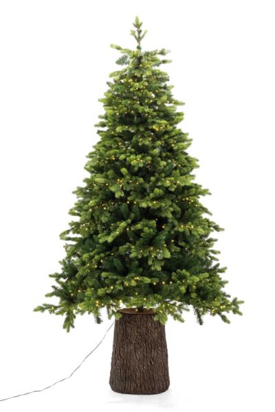 Albero Darsy con Tronco H.210CM