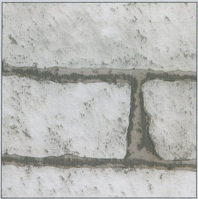 Plastica autoadesiva cm.45 art.10296