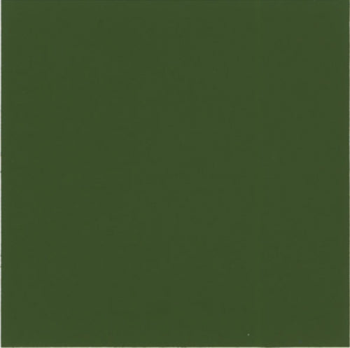 Aquatinta colorante per idropitture 40ml. 313 verde oliva