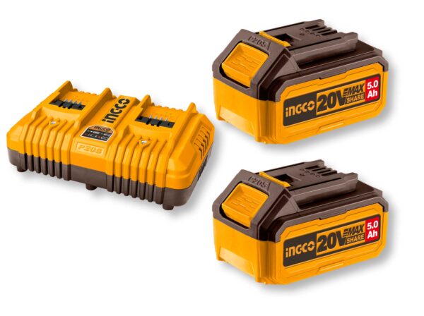 Battery Pack con 2 Batterie da 5ah + Caricabatterie