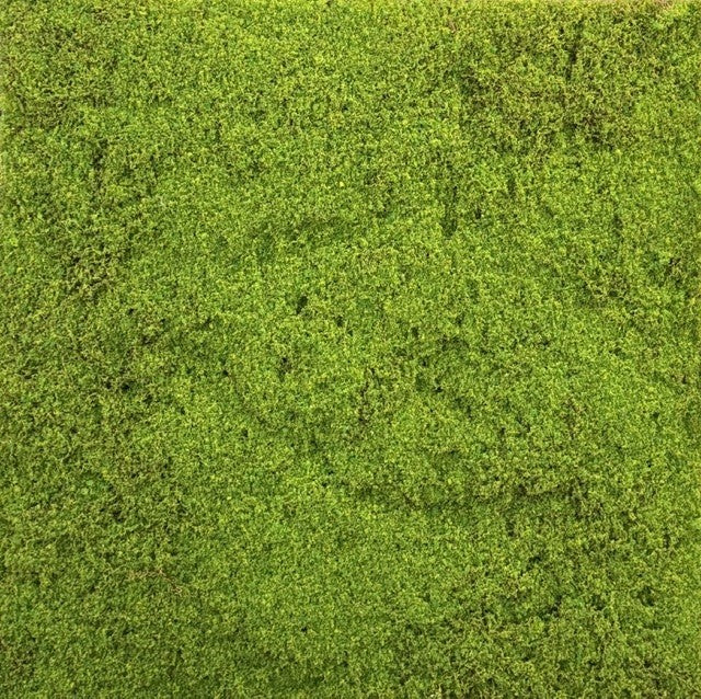 MUSCHIO FONOASSORBENTE 60X60X2.1CM PZ.2