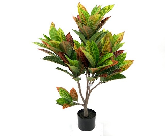 Pianta di Croton ornamentale 110 cm. 97 foglie