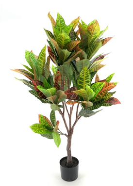 Pianta di Croton ornamentale 120 cm. 134 foglie