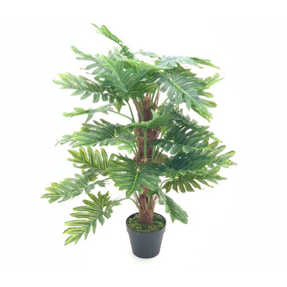 Pianta ornamentale Philo a foglie verdi con vaso 73 cm.