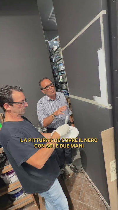 P-WHITE - Idropittura Extra Bianca per Interni | Prodotti di Edilpiazza